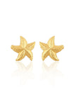 Pair of gold-plated starfish stud earrings isolated on white background with subtle reflection below